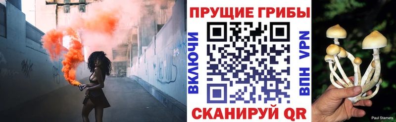 Галлюциногенные грибы GOLDEN TEACHER blacksprut Жуковка